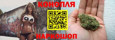 стаф Абакан
