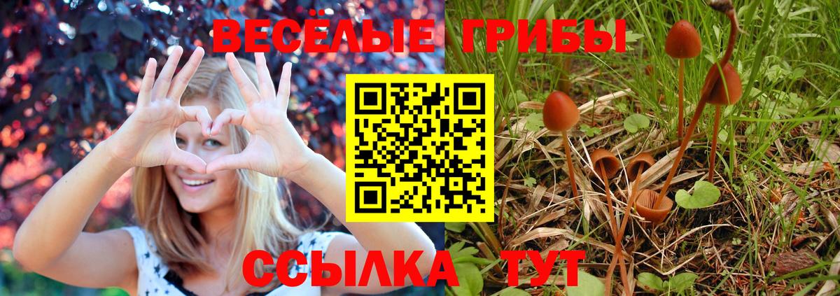 Россия  Псилоцибиновые грибы мухоморы  купить наркоту  Вход с VPN  Галлюциногенные грибы мухоморы 