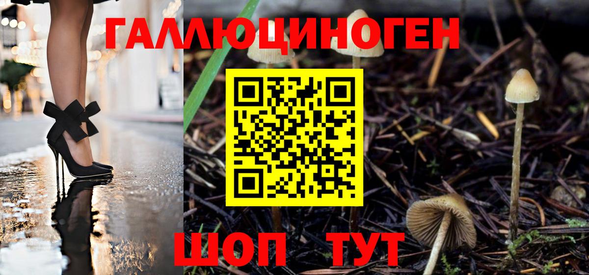 Псилоцибиновые грибы мицелий Россия